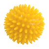 Image of Physio Spiky Point Balls
